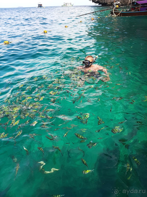 Наш отпуск на райских островах