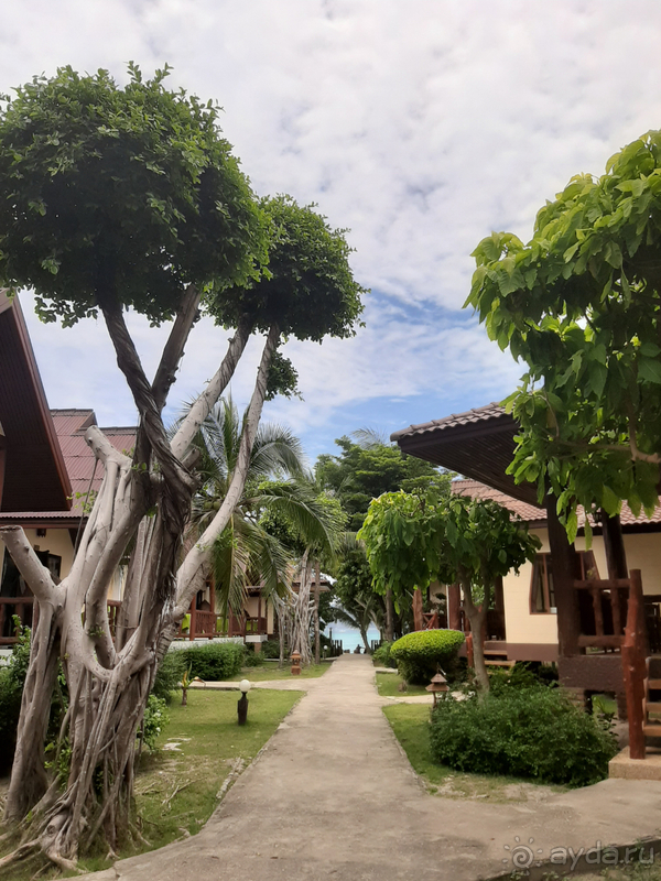 Наш отпуск на райских островах