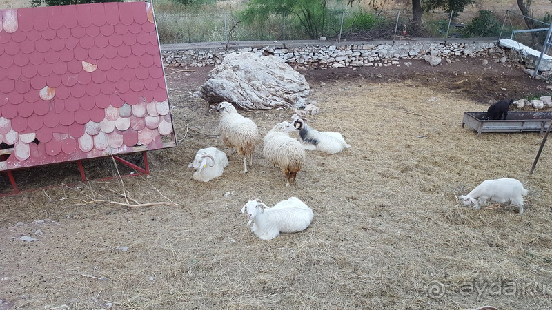 Чудесный тихий отель над городком Турунч