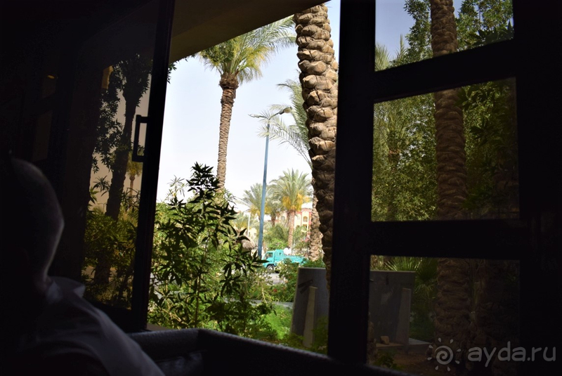 Прекрасный семейный активный отдых!