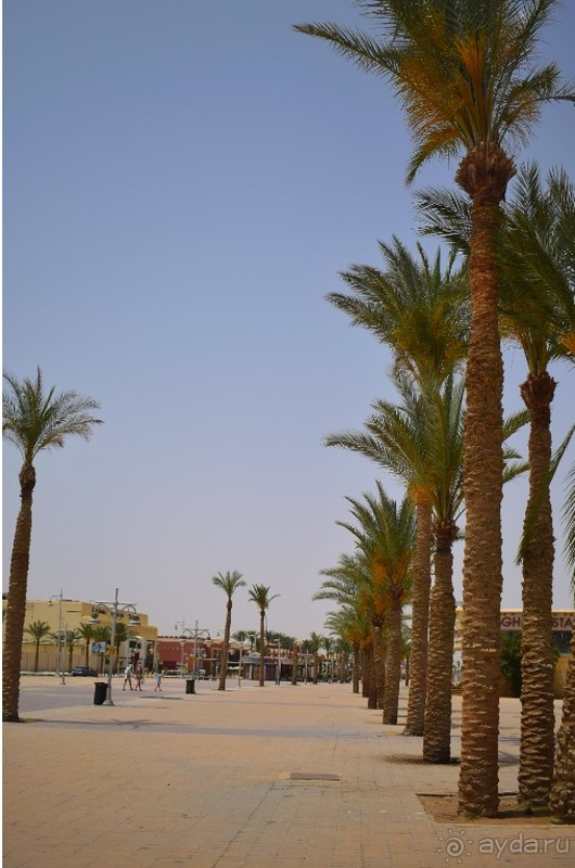 Прекрасный семейный активный отдых!