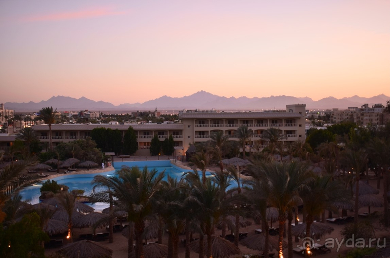 Прекрасный семейный активный отдых!