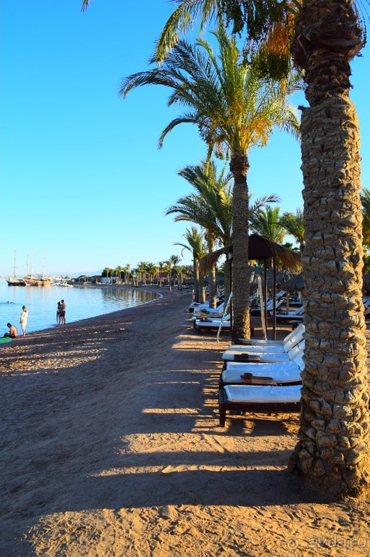 Прекрасный семейный активный отдых!