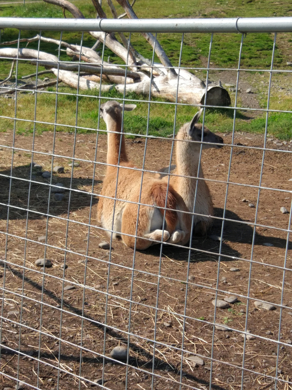 Отдых в Калерии