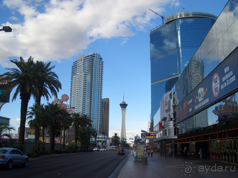 Нет отеля в мире лучше, чем Стратосфера!