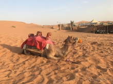 Отзыв об отеле Рэдисон Блю Резорт на Фуджейре Август-Сентябрь 2019