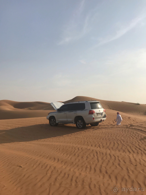 Отзыв об отеле Рэдисон Блю Резорт на Фуджейре Август-Сентябрь 2019