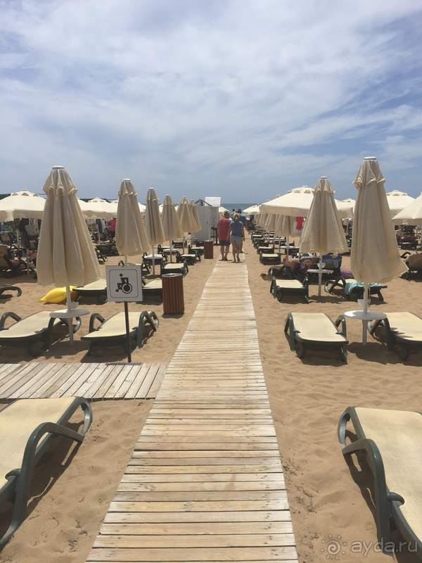 Отлично! Отлично!