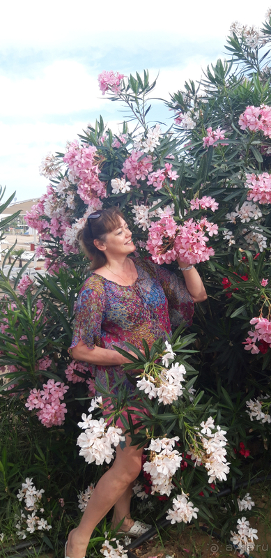 Разноцветный и веселый Разноцветный и веселый