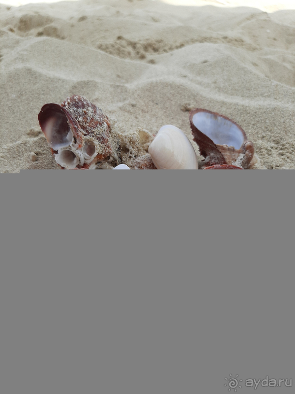 До встречи, Дубай!