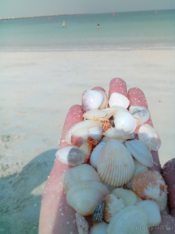 Дубайский комфорт