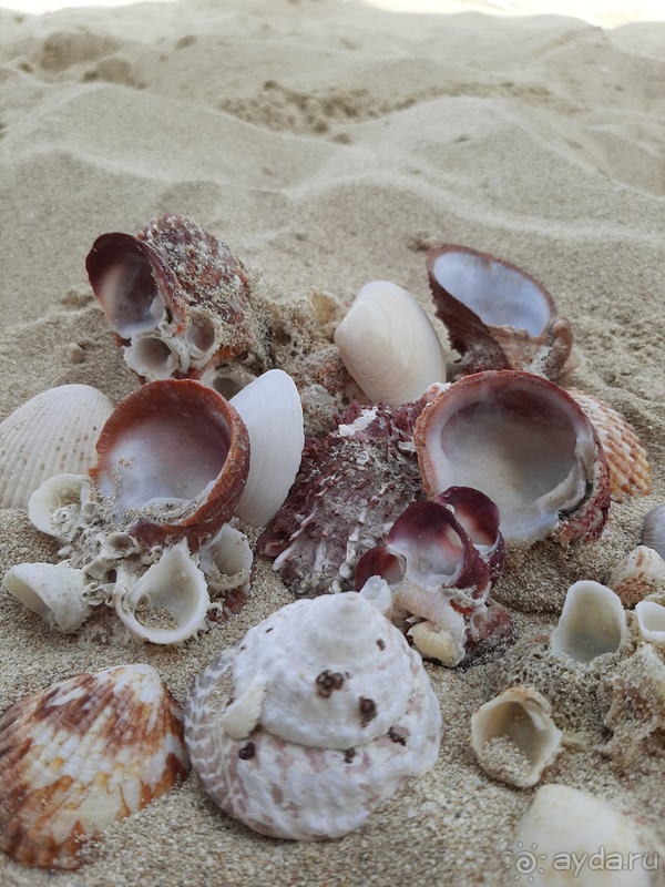 До встречи, Дубай!