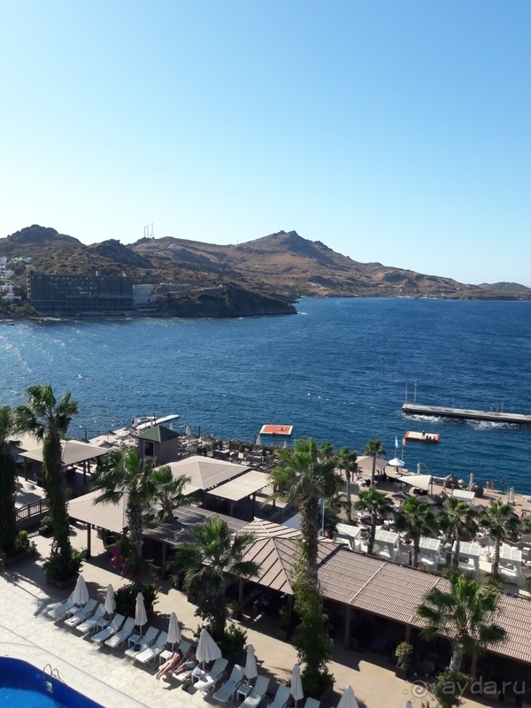 Отзыв об отеле Delta Marriot