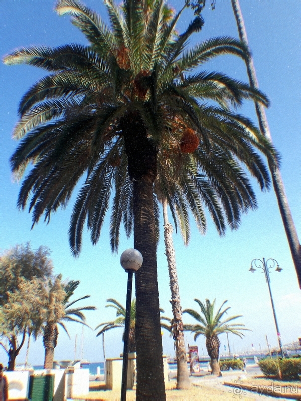 фото Delta Beach Resort Bodrum