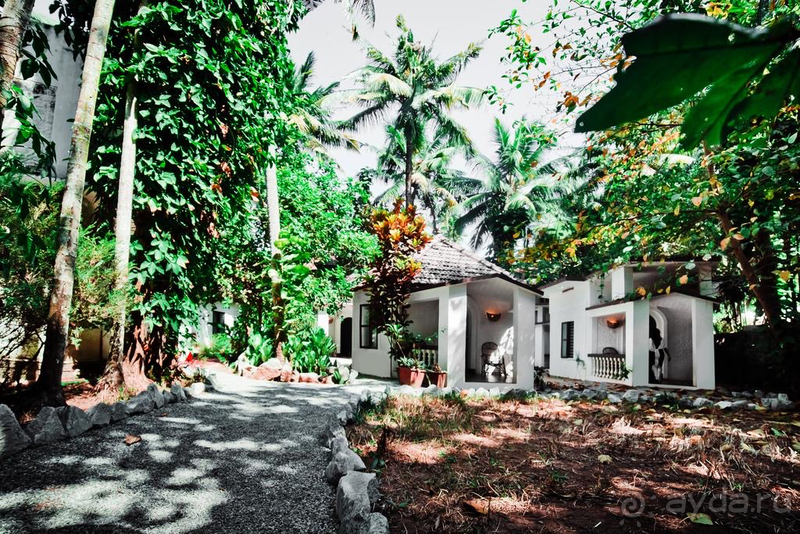 великолепное место