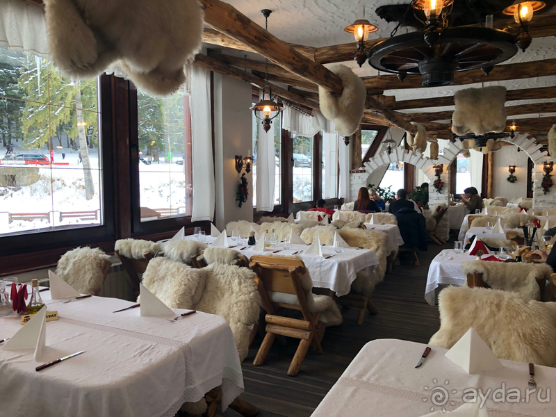 Отдых в Aurelius Imparatul Romanilor, Пояна Брашов