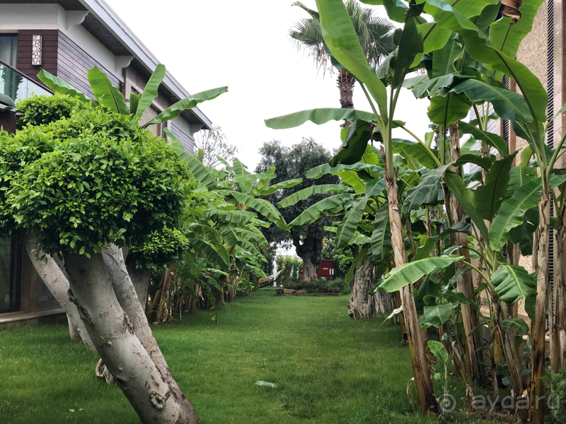 Привилегированный отдых в Nirvana lagoon luxury