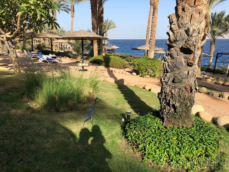 Не состоявшийся отдых