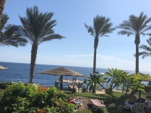 Не состоявшийся отдых