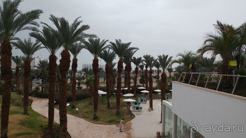 Давид - отель мечты