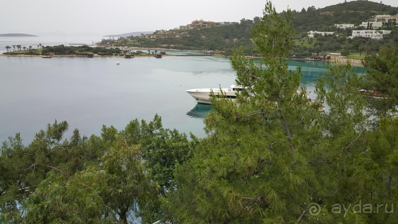 Есть над чем работать.