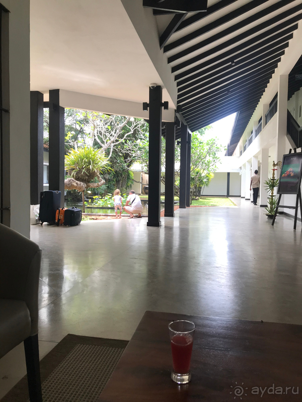 Семейный отдых в Шри-Ланке с ребенком 5 лет.