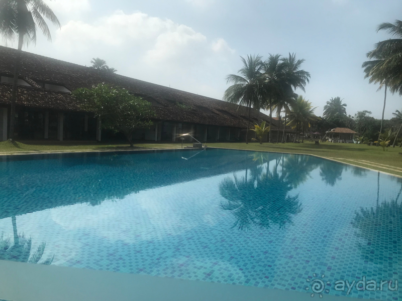 Семейный отдых в Шри-Ланке с ребенком 5 лет.