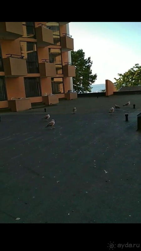 Неплохой отель за свою цену