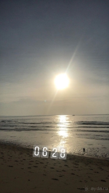 Моя дорогая Пальмира...)