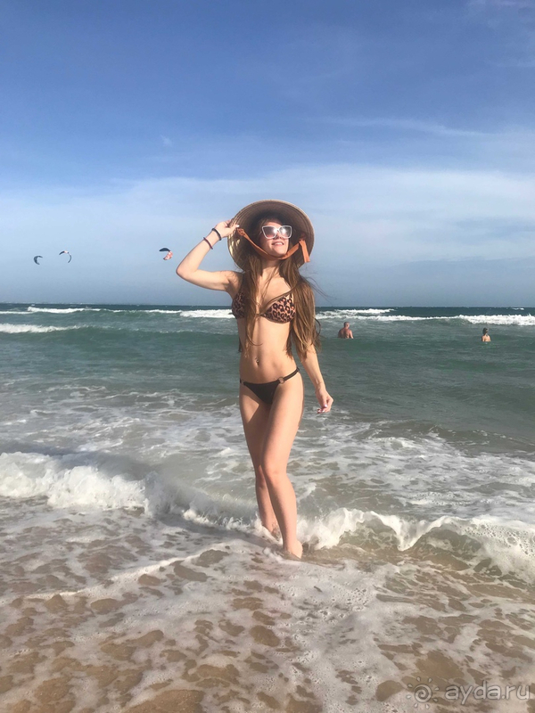 Моя дорогая Пальмира...)