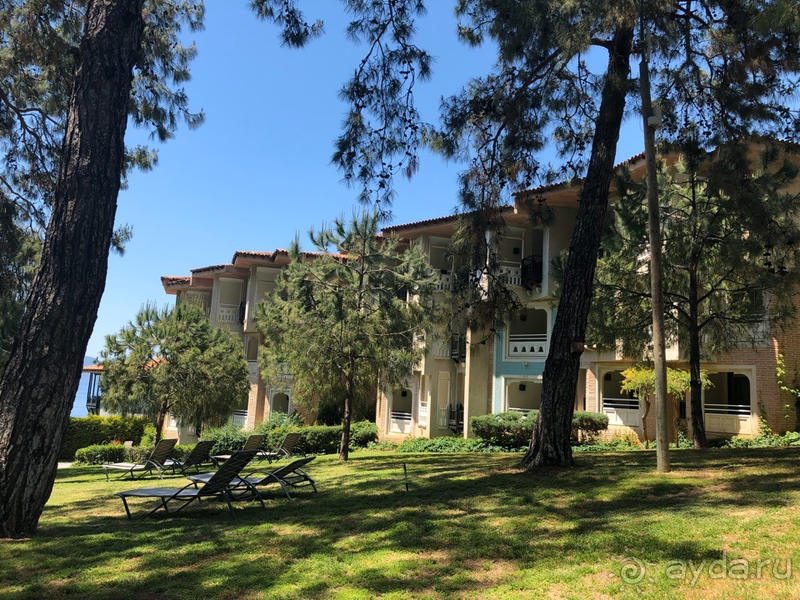 Потрясающее место!