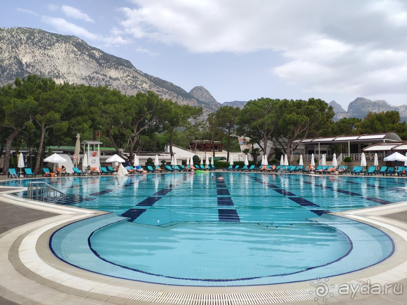 Сказка, в которую мы обязательно вернёмся...