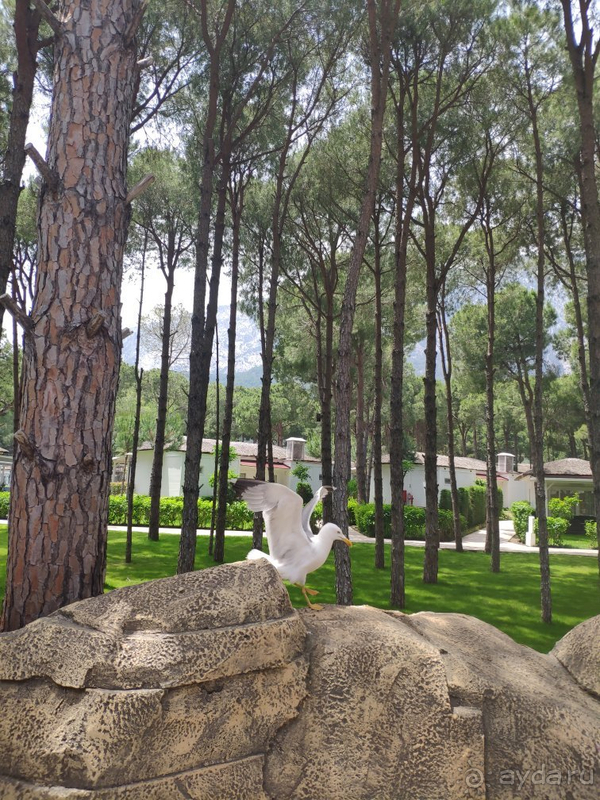 Сказка, в которую мы обязательно вернёмся...