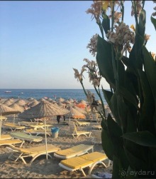 Троечка, но не твердая четвёрка.