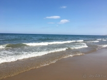 Медовый месяц мечты!