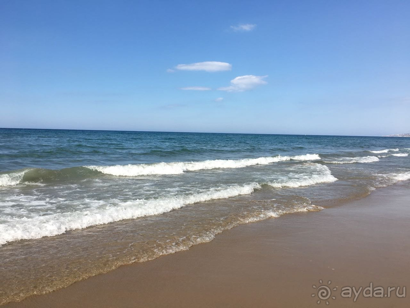 Медовый месяц мечты!