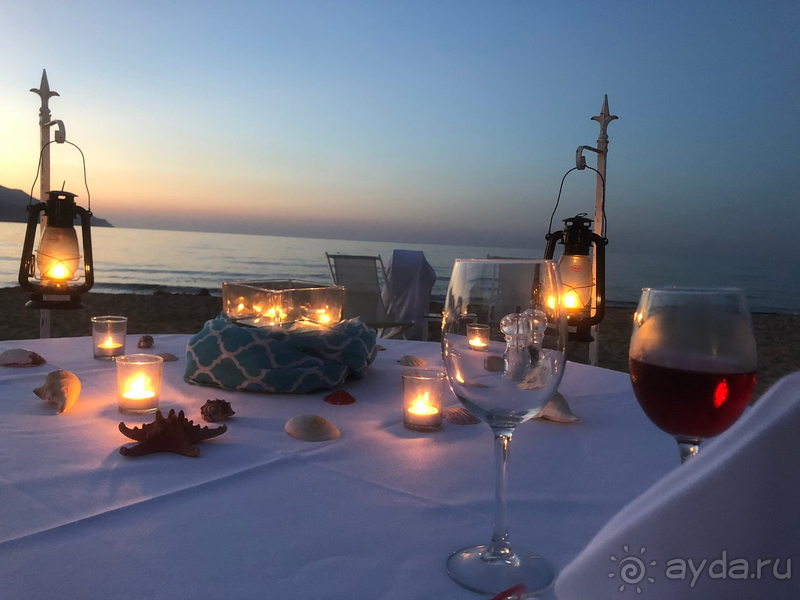 Медовый месяц мечты!