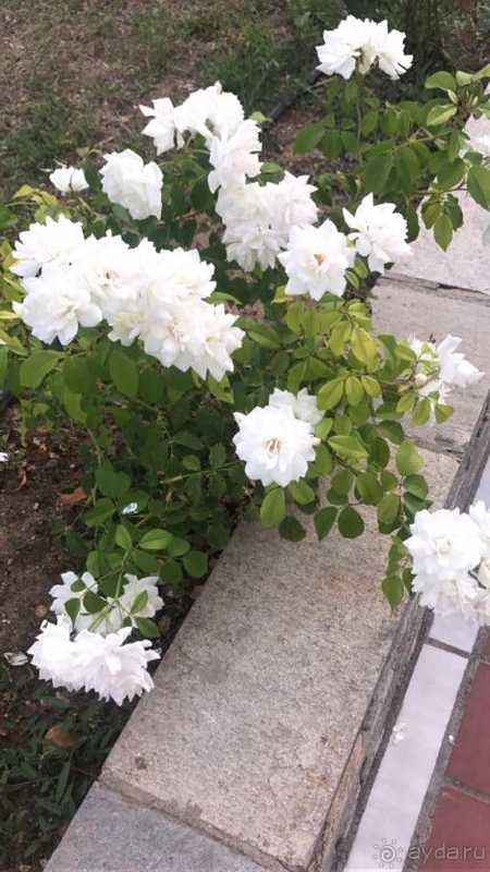 Фантастическое море и пляж!