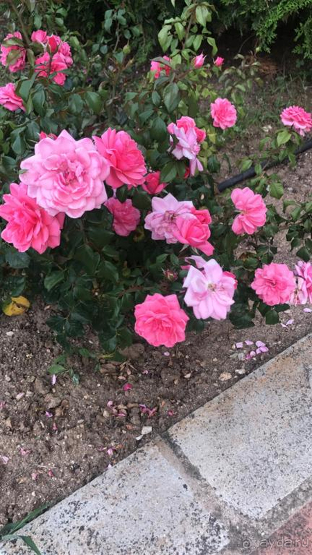 Фантастическое море и пляж!