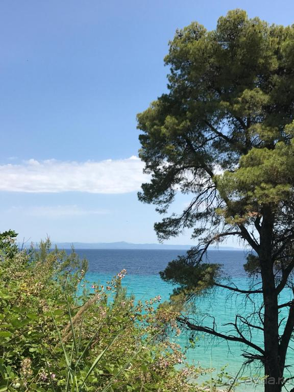 Фантастическое море и пляж!