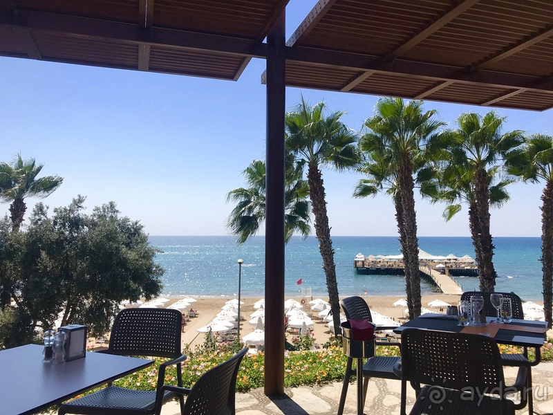 Новый Барут, новая концепция