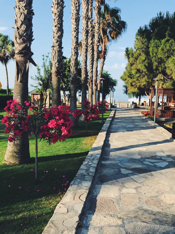 Новый Барут, новая концепция