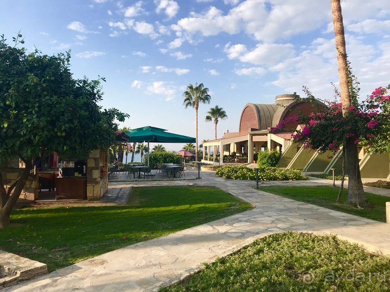 Новый Барут, новая концепция