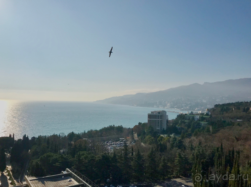 Новый год в отеле Ялта-Интурист