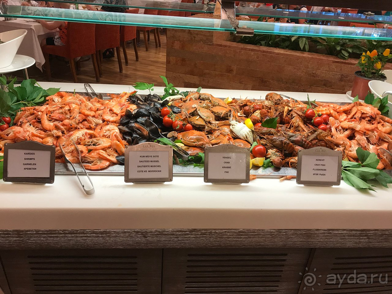 фото Gloria Verde Resort & Spa