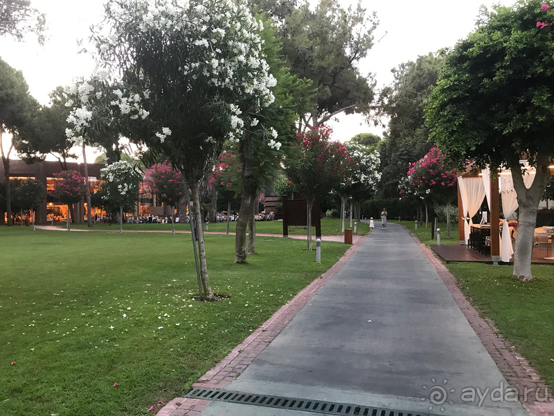 Один из самых лучших и достойных отелей!