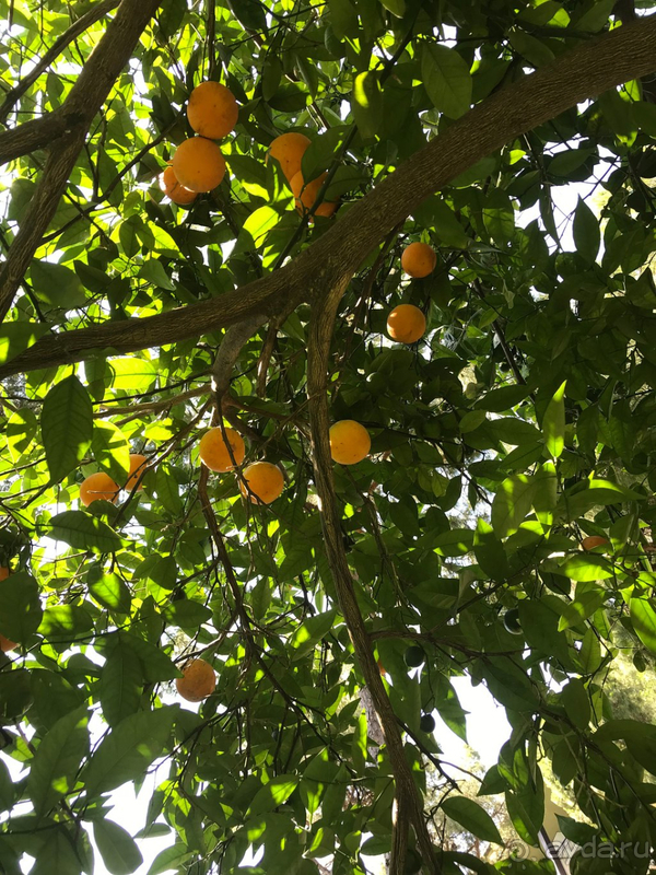 Один из самых лучших и достойных отелей!