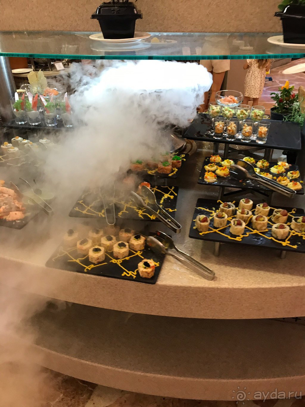 Мы дома, но Глория в нашем сердце!