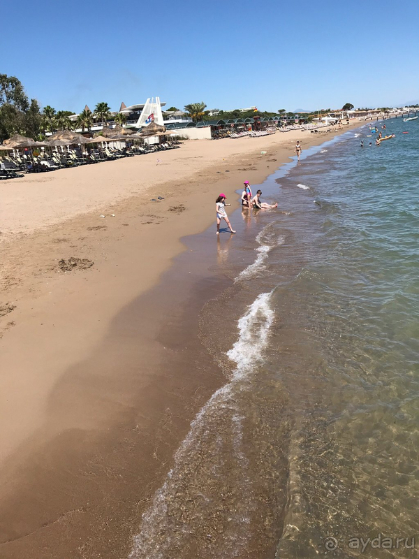 Мы дома, но Глория в нашем сердце!