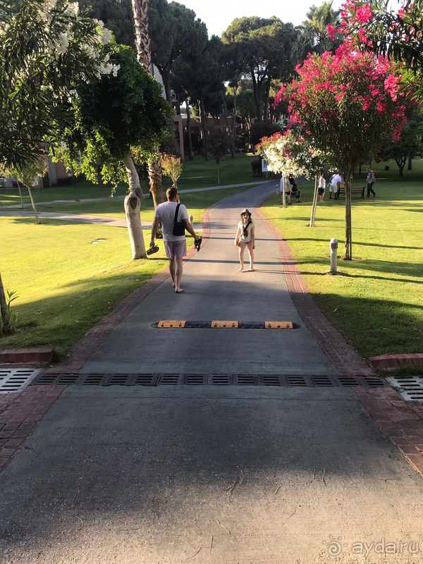 Мы дома, но Глория в нашем сердце!